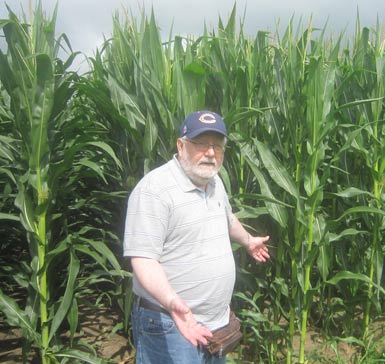 Ultimate Strat Baseball - Photo of Center Field Corn Field of the Baseball Field on the Fields of Dreams Movie Site, July 2016, with Wolfman Shapiro